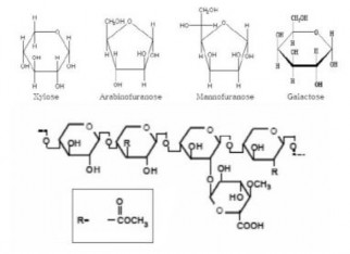 Hình 1 7 Công thức hóa học của hemicellulose 29 Lignin Thành phần thứ ba của 3