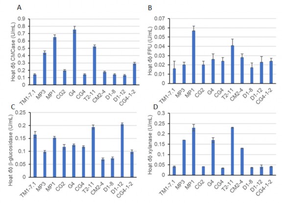 Hình 3 2 Hoạt độ enzym các chủng vi khuẩn từ ruột mối Các chủng lựa chọn 2