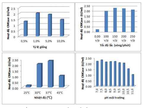 Hình 3 4 Ảnh hưởng của các thông số nuôi cấy đến hoạt độ CMCase của B 12