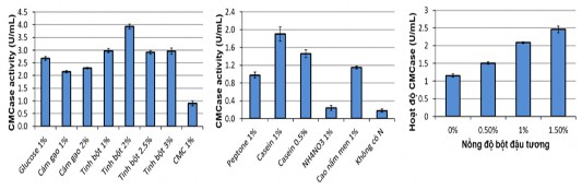 Hình 3 6 Ảnh hưởng của nguồn cacbon A nito B và bột đậu tương lên hoạt 13