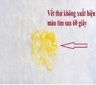 Thử nghiệm catalase Thử nghiệm oxidase Thử nghiệm KOH 3 Khả năng phát triển 9