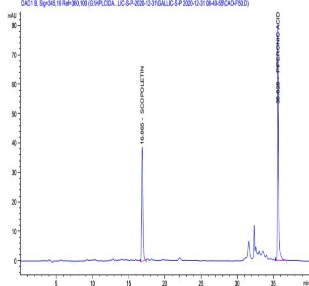 Hình 4 22 Sắc ký đồ scopoletin và piperic acid trong cao cây giao ở Bình Thuận 9
