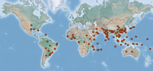 Hình 1 3 Bảng đồ phân bố của bệnh loét trên cây có múi do vi khuẩn X 2