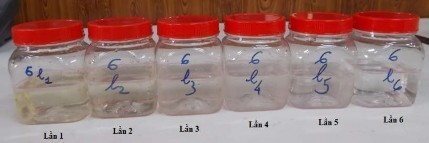 Phụ lục 19 Hình ảnh dịch theo số lần nấu nấu 2 giờ 121 °C áp suất không 10