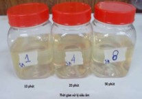 Phụ lục 13 Dịch trích nấu áp suất nhiệt độ cao sau 1 giờ Phụ lục 14 3