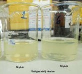 Phụ lục 13 Dịch trích nấu áp suất nhiệt độ cao sau 1 giờ Phụ lục 14 4