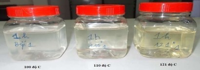 Phụ lục 14 Dịch trích nấu áp suất nhiệt độ cao sau 2 giờ Phụ lục 15 5