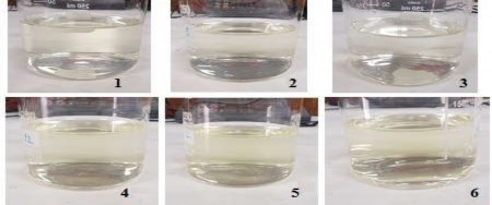 1 Nấu 2 giờ không xử lý 2 Nấu 2 giờ có siêu âm 30 phút 3 Nấu 2 giờ có vi 7