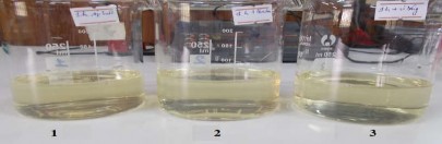 1 Nấu 1 giờ không xử lý 2 Nấu 1 giờ có siêu âm 30 phút 3 Nấu 1 giờ có vi 8