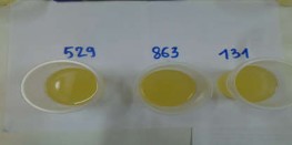 Phụ lục 58 Hỗn hợp gừng trước khi đưa vào cánh khuấy Phụ lục 59 Quy trình 333