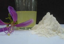 b Phụ lục 61 Ước tính chi phí sản xuất và giá thành sản phẩm Việc ước 336