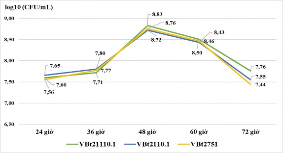 Hình 3 19 Mật độ vi khuẩn Bacillus thuringiensis ở các thời gian lên men Theo 4