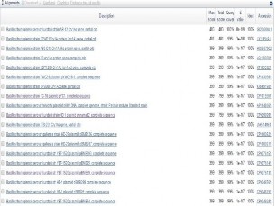 Hình 14 Tìm kiếm các trình tự gen tương đồng với sản phẩm của chủng Bt 10