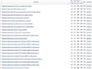 Hình 15 Kết quả BLAST trình tự primer của gene Cry1 trên NCBI Hình 16 Kết quả 11