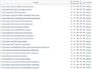 Hình 15 Kết quả BLAST trình tự primer của gene Cry1 trên NCBI Hình 16 Kết quả 12
