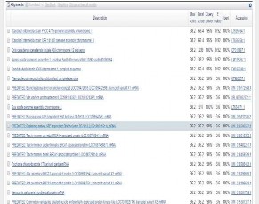 Hình 16 Kết quả kiểm tra mức độ đặc hiệu của các cặp primer dùng để 13