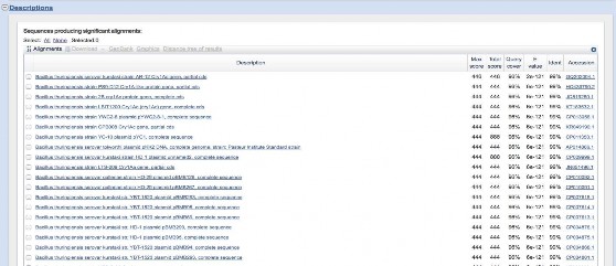 2 Mẫu vi khuẩnVBt2735 2 GAGCTTATCTGCCTGAGCTGTCTGTGATTCCGGGTGTCAATGCGGCTATTTT 15