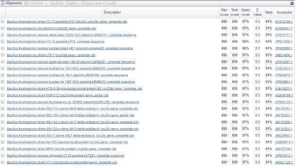 4 Mẫu vi khuẩn VBt27310 1 GATTCCACAACATTCACGTACGTATCGAGATTCACTTGAAAATTATCCAAG 17