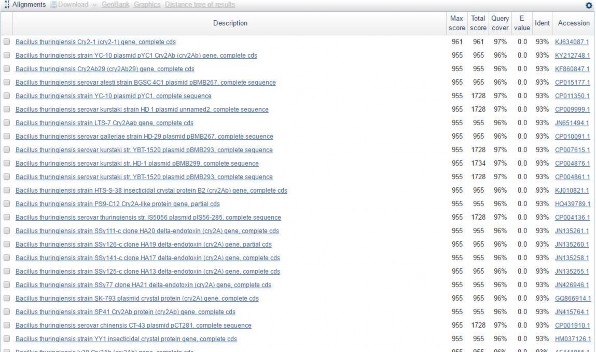 5 Mẫu vi khuẩn VBt2752 2 GATTACCCACACACATTCCGTACCGATTACTCGAGATTCACTTGAAAATTA 18
