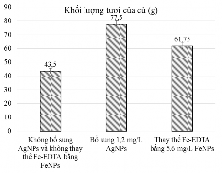 Biểu đồ 3 5 Khối lượng tươi của củ sâm Ngọc Linh sau 2 năm trồng trong 3