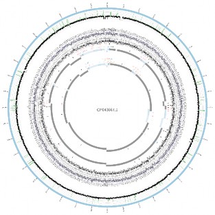 B8 Kết quả so sánh cấu trúc lắp ráp các contigs của SA12 19 1600 với chủng tham 2
