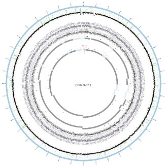 B9 Kết quả so sánh cấu trúc lắp ráp các contigs của SA07 20 1066 với chủng tham 3