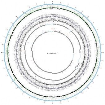 B10 Kết quả so sánh cấu trúc lắp ráp các contigs của SA07 20 1067 với chủng tham 4