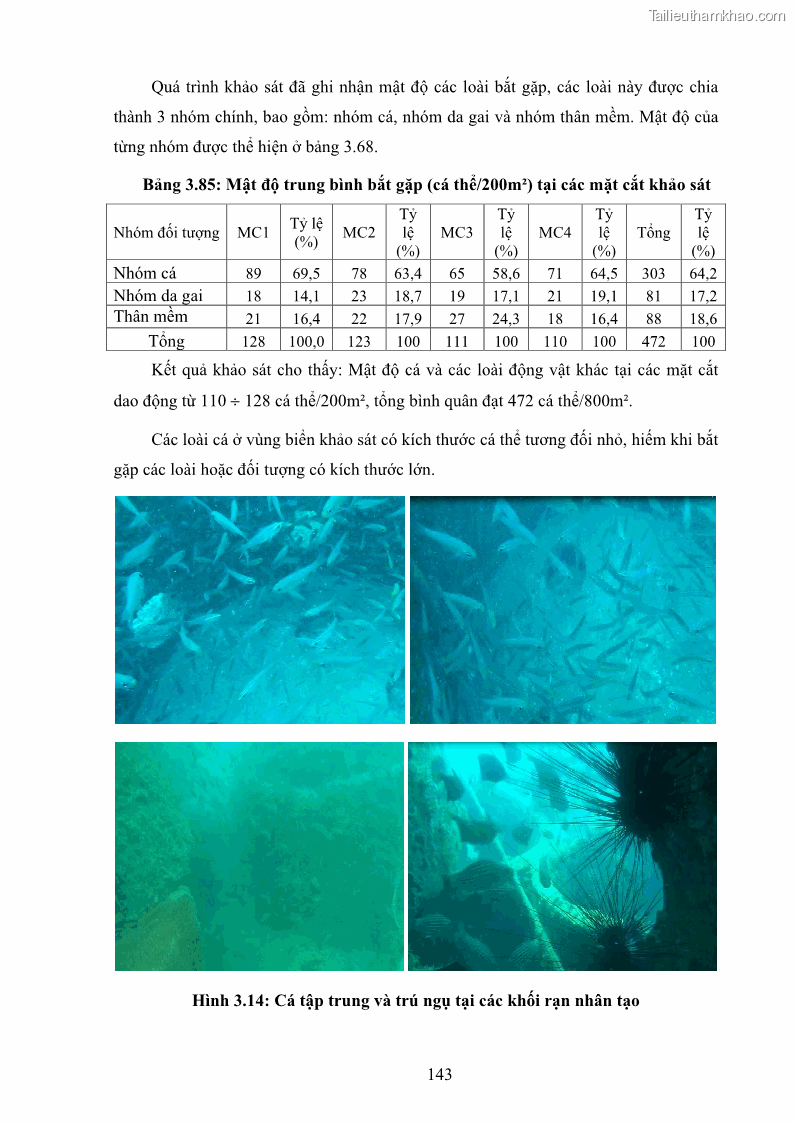 Luận án tiến sĩ khai thác thủy sản Nâng cao hiệu quả khai thác và bảo vệ nguồn lợi thủy sản tại vùng biển ven bờ tỉnh Quảng Nam - 14 Trang 159