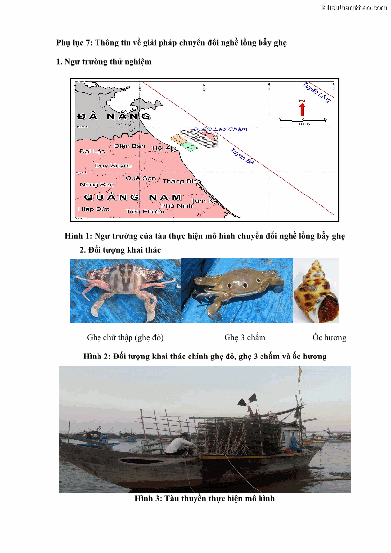 Luận án tiến sĩ khai thác thủy sản Nâng cao hiệu quả khai thác và bảo vệ nguồn lợi thủy sản tại vùng biển ven bờ tỉnh Quảng Nam - 21 Trang 251