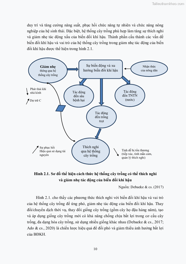 Luận án tiến sĩ khoa học cây trồng Nghiên cứu hiện trạng và cải tiến hệ thống cây trồng trên vùng đất ven biển tỉnh Thanh Hóa - 3 Trang 26
