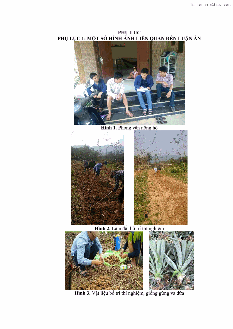 Luận án tiến sĩ khoa học cây trồng Nghiên cứu một số biện pháp kỹ thuật canh tác phù hợp cho cây cao su tiểu điền tại Thừa Thiên Huế - 12 Trang 134