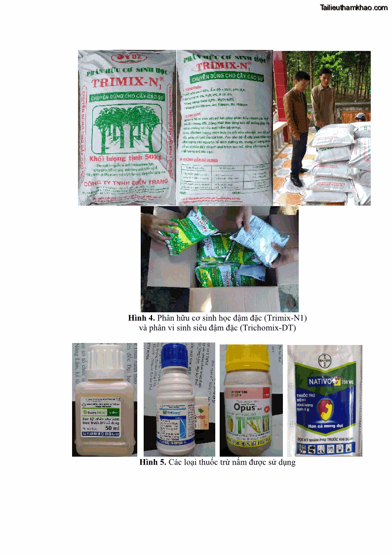 Luận án tiến sĩ khoa học cây trồng Nghiên cứu một số biện pháp kỹ thuật canh tác phù hợp cho cây cao su tiểu điền tại Thừa Thiên Huế - 12 Trang 135