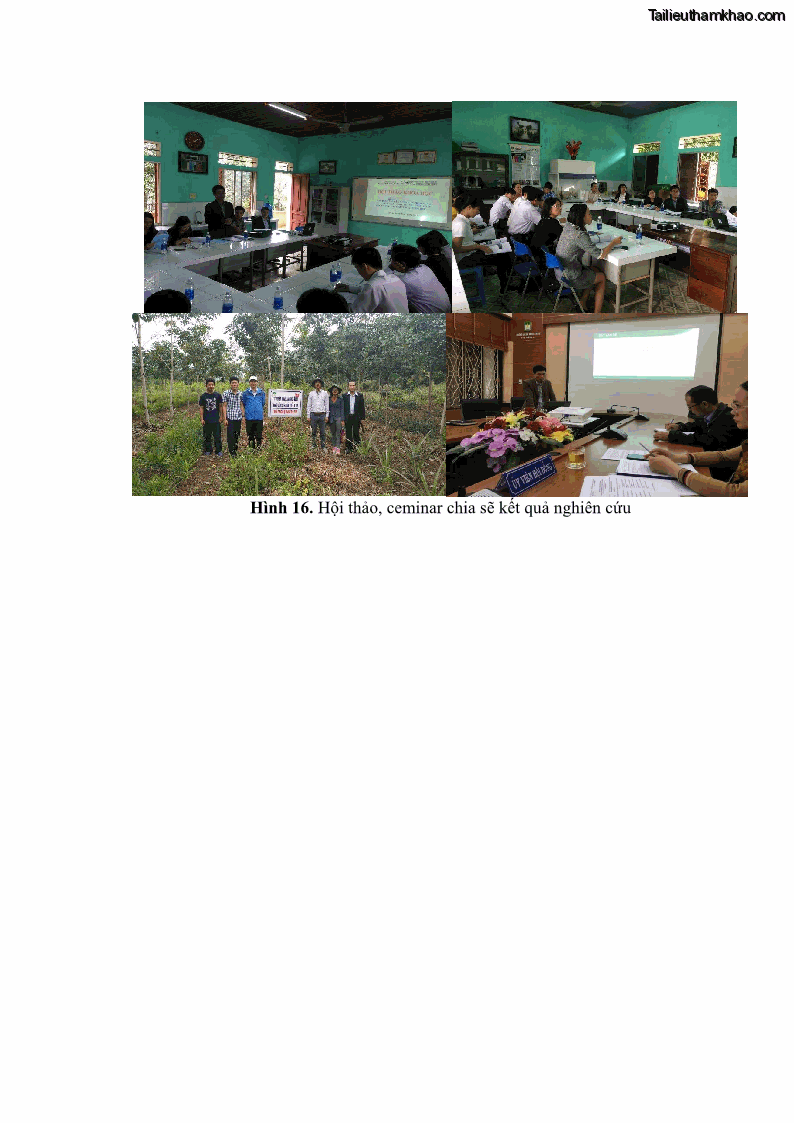 Luận án tiến sĩ khoa học cây trồng Nghiên cứu một số biện pháp kỹ thuật canh tác phù hợp cho cây cao su tiểu điền tại Thừa Thiên Huế - 12 Trang 140