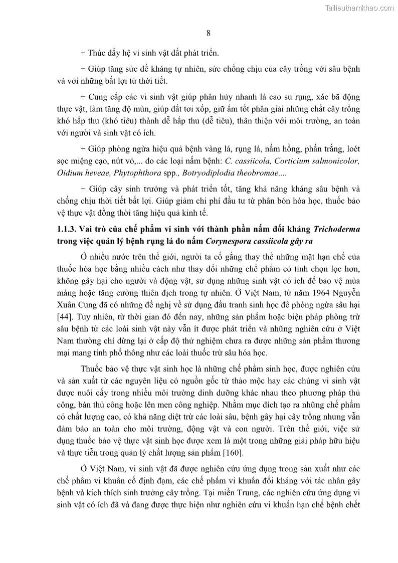 Luận án tiến sĩ khoa học cây trồng Nghiên cứu một số biện pháp kỹ thuật canh tác phù hợp cho cây cao su tiểu điền tại Thừa Thiên Huế - 2 Trang 22