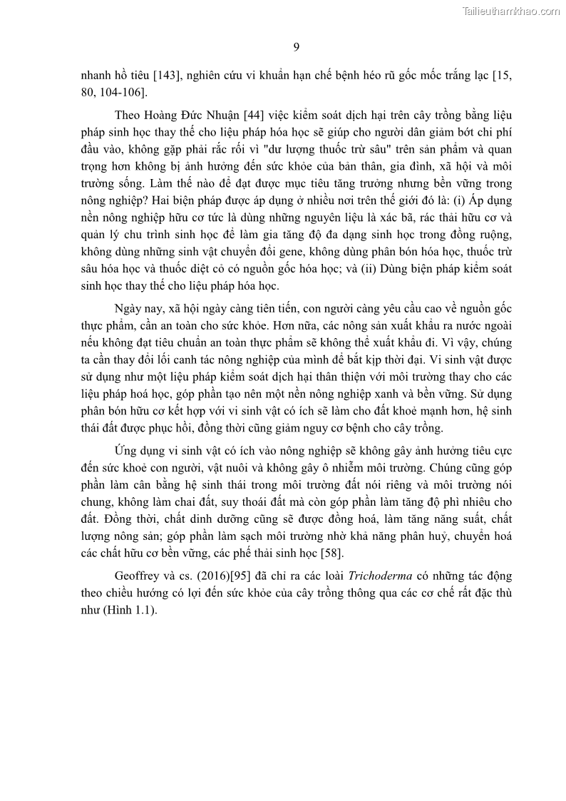 Luận án tiến sĩ khoa học cây trồng Nghiên cứu một số biện pháp kỹ thuật canh tác phù hợp cho cây cao su tiểu điền tại Thừa Thiên Huế - 2 Trang 23