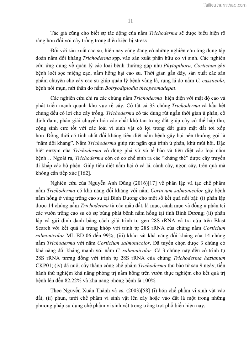 Luận án tiến sĩ khoa học cây trồng Nghiên cứu một số biện pháp kỹ thuật canh tác phù hợp cho cây cao su tiểu điền tại Thừa Thiên Huế - 3 Trang 25