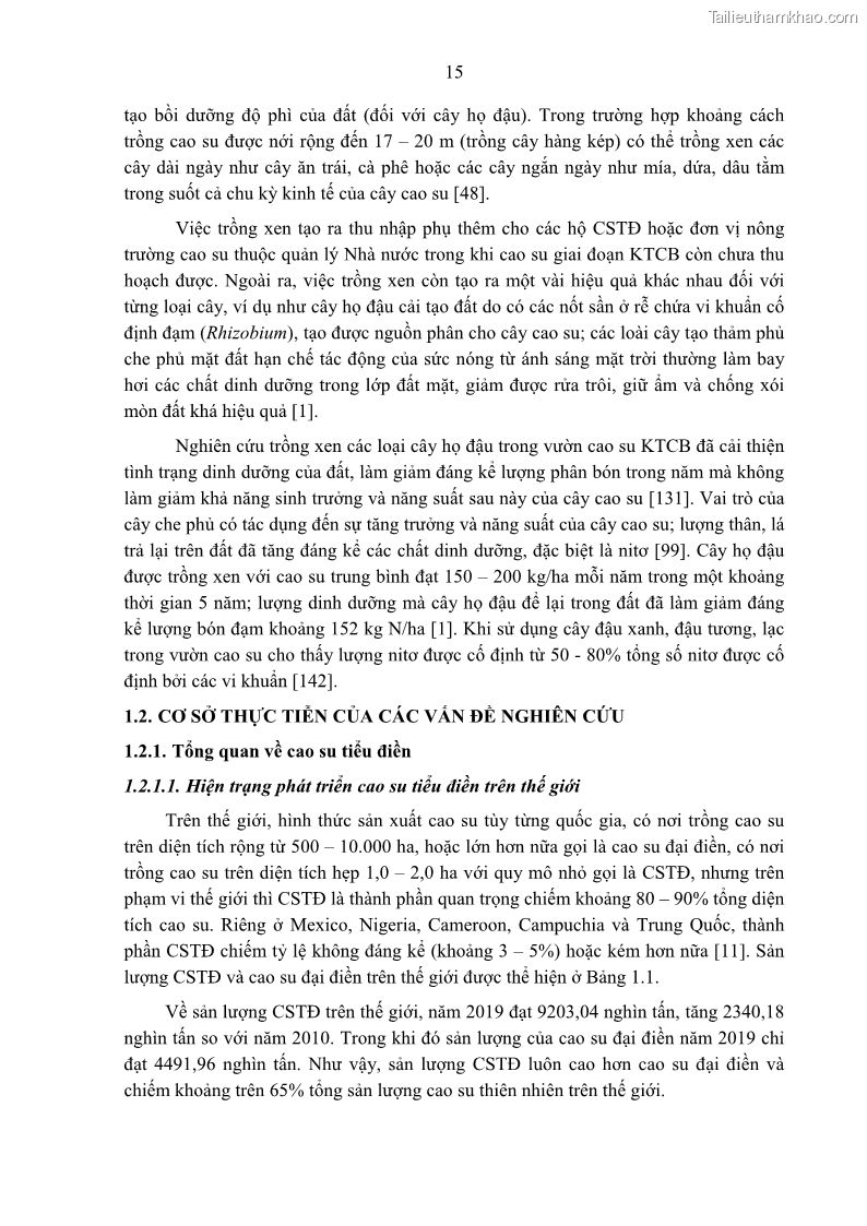 Luận án tiến sĩ khoa học cây trồng Nghiên cứu một số biện pháp kỹ thuật canh tác phù hợp cho cây cao su tiểu điền tại Thừa Thiên Huế - 3 Trang 29