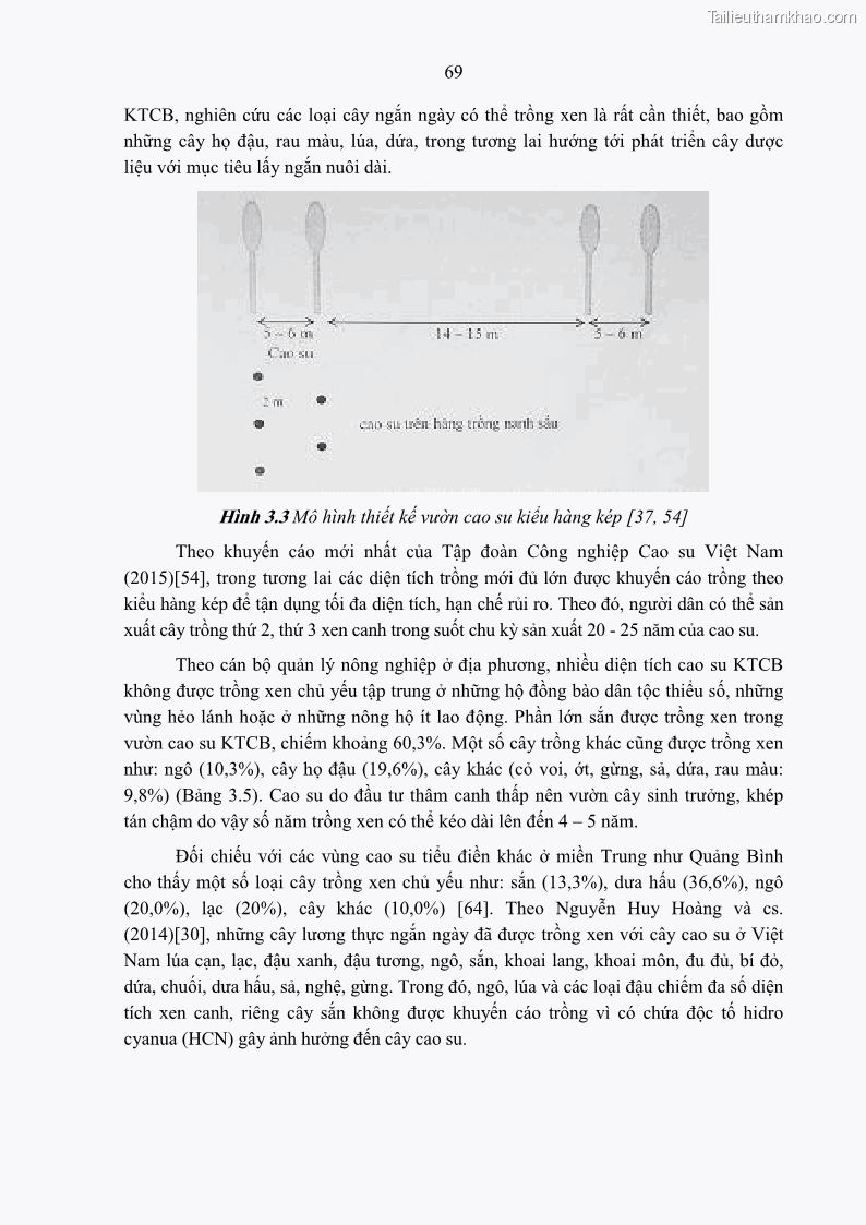 Luận án tiến sĩ khoa học cây trồng Nghiên cứu một số biện pháp kỹ thuật canh tác phù hợp cho cây cao su tiểu điền tại Thừa Thiên Huế - 7 Trang 83