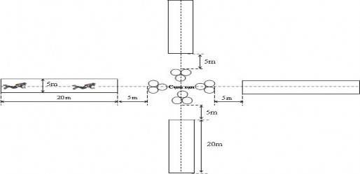 Hình 3 12 Sơ đồ lặn khảo sát tại các cụm rạn nhân tạo Ngoài so sánh thành 5