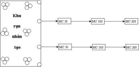 Hình 3 13 Sơ đồ lặn khảo sát phía ngoài các cụm rạn nhân tạo Chỉ tiêu 6