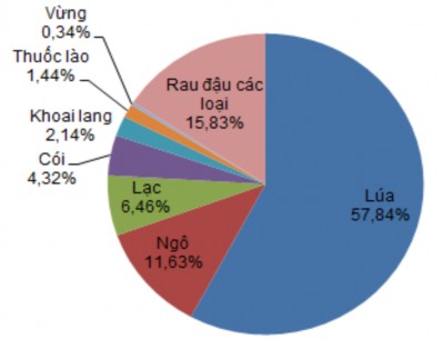 Hình 4 3 Tỉ lệ diện tích các cây trồng chủ yếu ở vùng ven biển Thanh Hóa 1