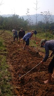 Hình 2 Làm đất bố trí thí nghiệm Hình 3 Vật liệu bố trí thí nghiệm giống 2