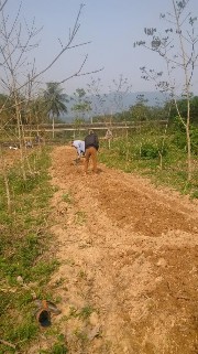 Hình 2 Làm đất bố trí thí nghiệm Hình 3 Vật liệu bố trí thí nghiệm giống 3