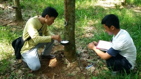 Hình 13 Quan trắc mủ cao su Hình 14 Chuẩn độ DRC trong phòng thí nghiệm Hình 15 5