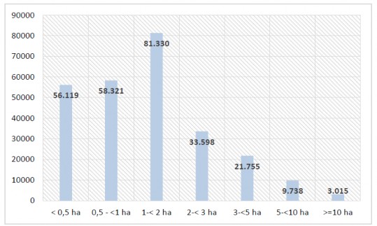 Hình 1 3 Số hộ trồng cao su tiểu điền ở Việt Nam năm 2018 theo diện tích 1