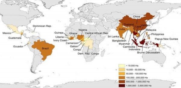 Hình 1 4 Bản đồ phân bố cây cao su trên thế giới năm 2019 Nguồn FAOSTAT 2