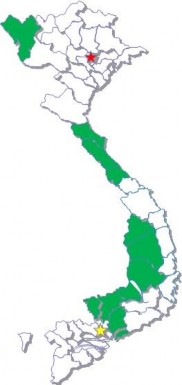 Từ năm 2016 đến năm 2019 diện tích trồng cao su ở nước ta giảm dần do các 3