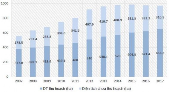 Nguồn Trần Thị Thúy Hoa và cs 2018 29 Hình 1 8 Diện tích cao su theo cơ cấu 2