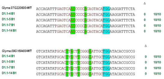 Kết quả cho thấy không phát hiện hoạt động chỉnh sửa nào tại các vị trí 2