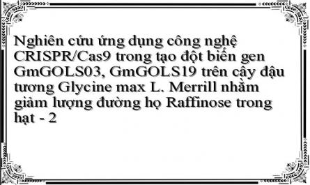 Nghiên cứu ứng dụng công nghệ CRISPR/Cas9 trong tạo đột biến gen GmGOLS03, GmGOLS19 trên cây đậu tương Glycine max L. Merrill nhằm giảm lượng đường họ Raffinose trong hạt - 2